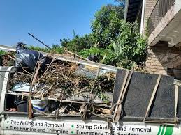 Best Hoarding Cleanup  in Ivanhoe, TX